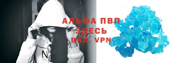 прущие грибы Армянск