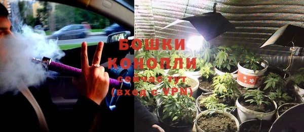прущие грибы Армянск