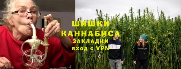 прущие грибы Армянск