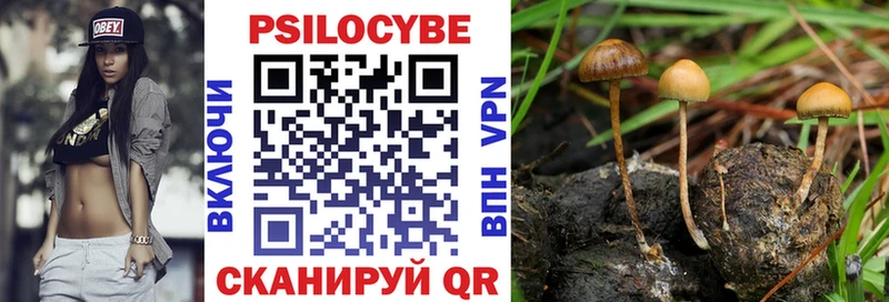 Псилоцибиновые грибы MAGIC MUSHROOMS  где купить наркоту  Сортавала 